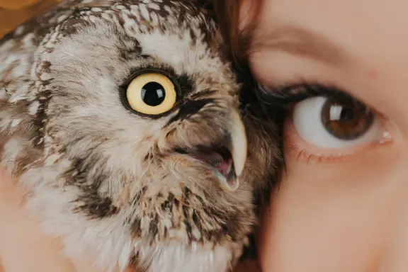 Casino Welcome Bingo Kundeservice